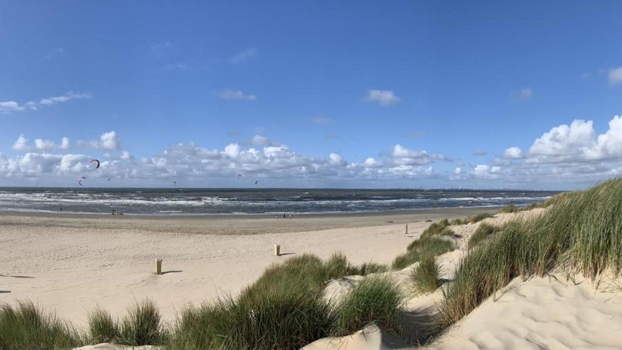 AreaSummer1KM AreaSummer1KM